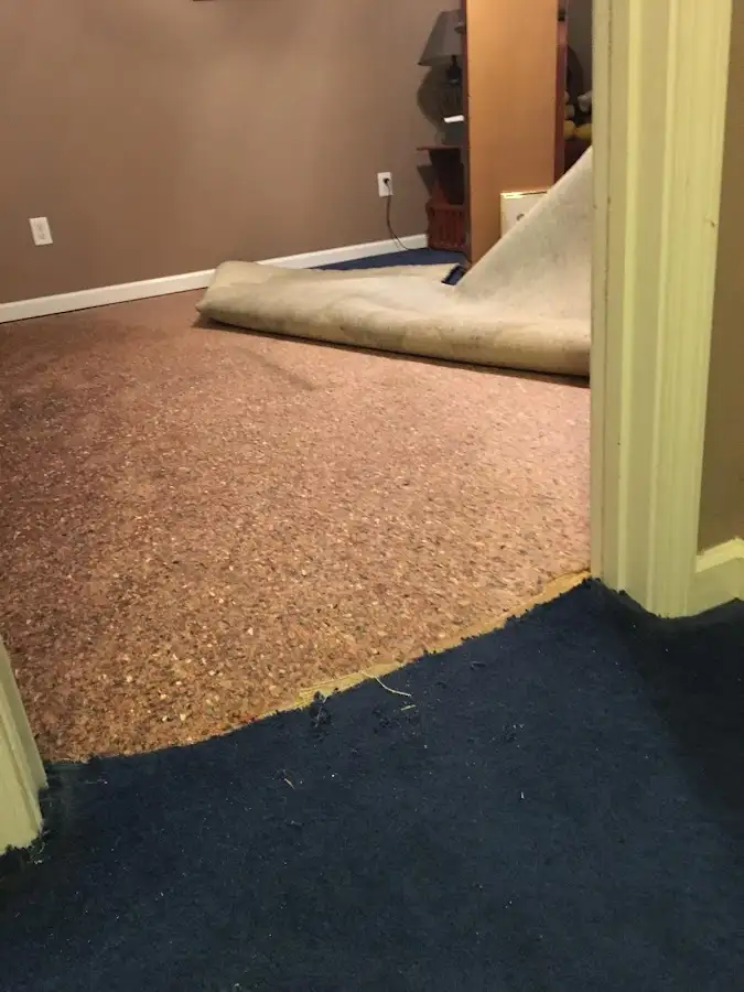Carpet pad removal revealing water damage during Water Mitigation Services in Butler